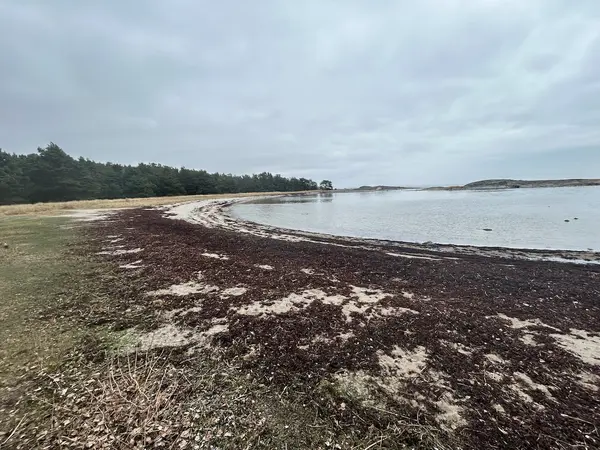 Skarsand